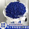 蓝色妖姬蓝玫瑰真花束礼盒鲜花速递北京广州生日表白同城配送