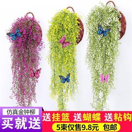 挂花藤