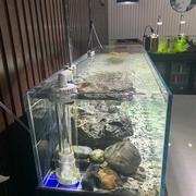 高档溪流鱼缸客厅底滤鱼缸原生缸创意造景生态超白鱼缸不含灯