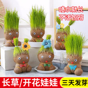 草头娃娃创意小盆栽儿童水培绿植办公室可爱植物趣味浇水长头发