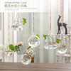 花瓶玻璃透明水培绿萝植物，装饰瓶创意小清新客厅悬挂简约迷你吊瓶