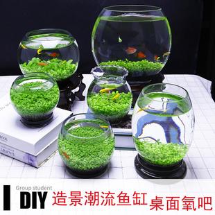 瓶中植物水生微型生态小鱼，小虾微景观生态瓶，diy材料鱼缸底部水草