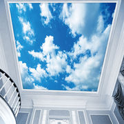 蓝天白云墙纸天花板吊顶壁纸，卧室棚顶3d壁画，客厅过道屋顶天空墙布