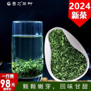 一斤装贵州绿茶2024新茶春茶明前炒青特级都匀栗香毛尖浓香散装