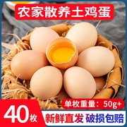 鸡蛋新鲜50g*40枚林下农家纯散养土鸡蛋正宗笨鸡蛋草柴鸡蛋整箱