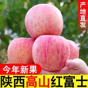 陕西正宗红富士苹果新鲜水果脆甜多汁，整箱果园直发01