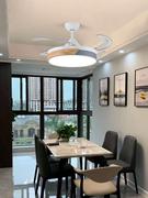 北欧风扇吊灯家用灯具简约现代客厅，餐厅带电风扇，灯卧室隐形吊扇灯