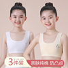女童内衣发育期小学生第一阶段纯棉，7~8~12岁女孩，大儿童宽带小背心