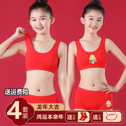 女童本命年内衣内裤套装红色中大童小背心12-16岁抹胸发育期文胸