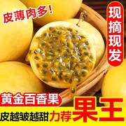 广西钦蜜9号黄金百香果很甜蜂蜜味当季新鲜水果九斤黄百香果