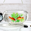 加厚透明玻璃圆形鱼缸带爪创意金鱼缸迷你小型桌面客厅乌龟缸办公