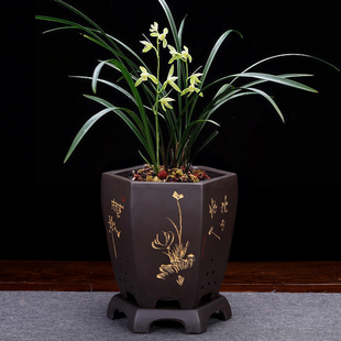 紫砂兰花专用盆，陶瓷六方透气绿萝室内家用盆景大花盆