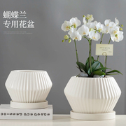 欧式高档蝴蝶兰专用花盆，白色陶瓷带托盘透气客厅，绿植花卉盆栽摆件