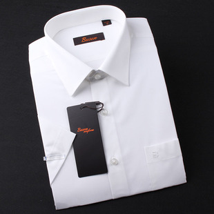 busen步森衬衫职业男女式短袖，衬衣纯白乳白色工作服衬衣夏季半袖