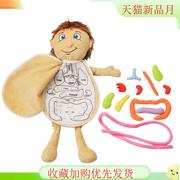 创意品儿童身体构拼图娃娃宝宝人体内脏结结构认知礼早教科教