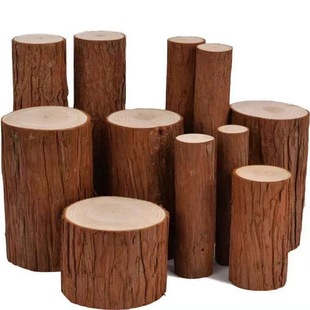 小木桩底座摆件树桩树干原木头杉树摄影拍照园艺木柱木墩装饰道具