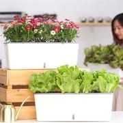 懒人花盆自吸水种菜盆室内家庭绿植盆窄长条长方形塑料储水种植箱