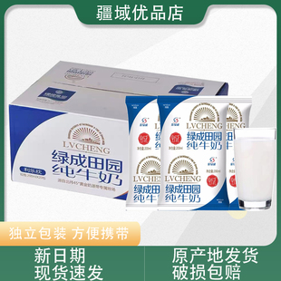 新日期 新疆金绿成纯牛奶田园枕全脂纯奶200毫升*20袋装整箱