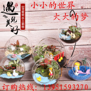 暖场苔藓微景观diy材料包创意(包创意)生态瓶子摆件套装盆栽