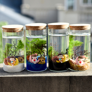 水生植物生态瓶桌面迷你鱼缸景观，瓶微景观迷你水，生态瓶diy瓶套装
