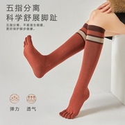 女士五指袜秋冬压力瑜伽，运动瘦腿纯棉，小腿袜普拉提及膝分趾长袜子