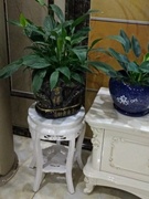 欧式白色实木花架客厅家用花台木质吊兰圆形落地盆景花盆鱼缸