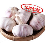 农家干大蒜头自种河南杞县特产，10斤蒜头低价，干蒜5斤新鲜白紫皮