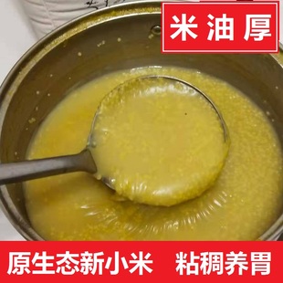 一件2斤2023新小米山西特产黄小米粗粮沁州黄小黄米糯小米粥