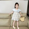 2024夏季女童韩版蓝色，大翻领连衣裙棉布裙，小童可爱洋气网红裙