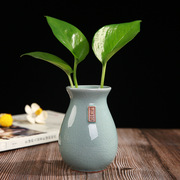 创意绿萝水培小花瓶陶瓷容器水养植物花盆鲜花插花器桌面装饰摆件