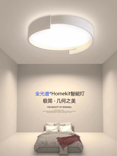 支持applehomekit智能led吸顶灯，简约现代主，卧室房间书房护眼灯具