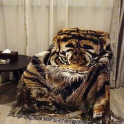 老虎虎头家居装修粗犷挂毯简约风格，休闲毯盖毯创意寝室z用毛毯绒