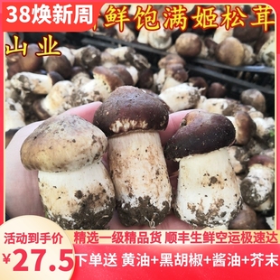 新鲜姬松茸 特级云南山珍两斤装1000克特产蘑菇巴西菇 空运