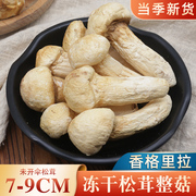 冻干松茸7-9cm云南特产香格里拉松茸，菌菇菌类干货菌汤包煲汤食材