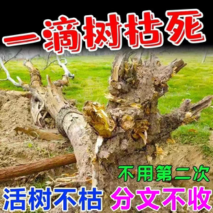 杀树硫酸树竹草烂根剂强力除树剂死树烂根大树烂树根腐蚀专用药
