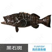 仿真鱼石斑鱼模型半边挂件树脂，高仿真(高仿真)鱼模型壁饰鱼装饰黑石斑