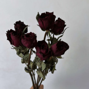 轻奢干花高级感天然真花黑玫瑰花束黑魔术家居插花装饰摆件暗黑风