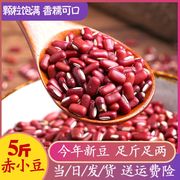 云南赤小豆2023新货农家自种长粒薏米粥赤豆五谷杂粮