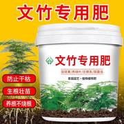 文竹专用肥料有机肥花肥室内盆栽，花卉绿植生根壮叶绿颗粒缓释肥料