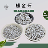 日本进口白植金石兰花，专用植料石透气活力土多肉土，营养土颗粒土1l