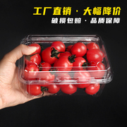 辛晟一次性水果包装盒商超一斤装透明塑料盒水果店500g果切打包盒