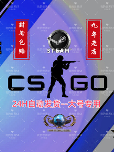 cs2csgo国际服蒸汽国服鼠标，宏学习资料图文，教程封号包赔送小号