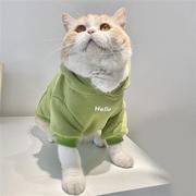 潮猫猫秋冬加厚卫衣英短猫咪雪纳瑞泰迪冬装宠物棉衣加绒衣服