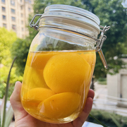 宜家 玻璃百香果密封罐鸡爪罐超大容量蜂蜜柠檬储物封闭罐子