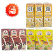 一组六盒台湾进口光泉糙米浆果汁牛乳巧克力牛乳200ml养生饮