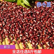 正宗长粒赤小豆农家自产新货红豆薏米粥非红小豆五谷杂粮满