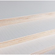 E0免漆板实木生态板多层板环保三合板细木工板衣柜细木工板9-