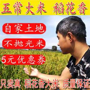 2023新米农家自产五常稻花香2号大米5kg不抛光东北黑龙江无常正宗