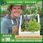 云南有机方式种植蔬菜沙拉套餐生吃凉拌当季现摘新鲜即食大理