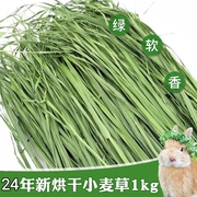 兔子干草烘干小麦草宠物兔牧草荷兰猪草龙猫兔兔小麦草嫩苗1kg/箱